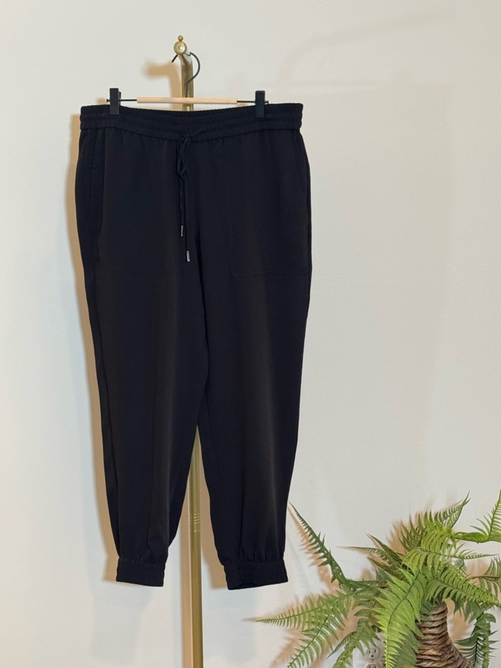 Ann Taylor Pull on Pants